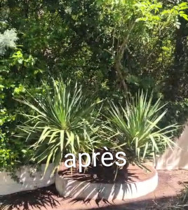 Photo de galerie - Jardinier