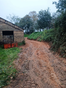 Photo de galerie - Terrassement - Assainissement
