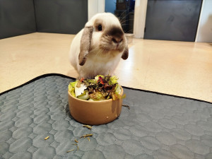 Photo de galerie - Repas gastronomique de Versace