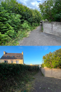 Photo de galerie - Rabattage de haie 