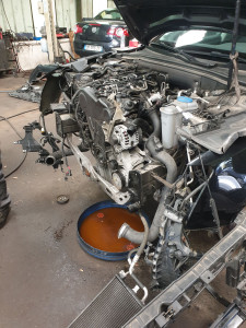 Photo de galerie - Distribution