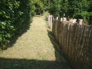 Photo de galerie - Tonte de pelouse - Débroussaillage