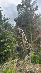 Photo de galerie - Étage, sapin