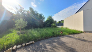 Photo de galerie - Tonte de pelouse (Avant)