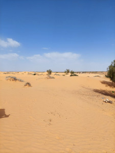 Photo de galerie - Montage photo video