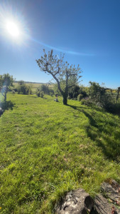 Photo de galerie - Début de tonte AVANT 