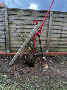 Photo de galerie - Abattage et dessouchage d’une haie 