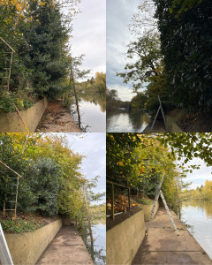 Photo de galerie - Taille