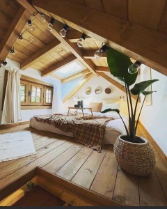 Photo de galerie - Home sitting - Accueil - Gardiennage