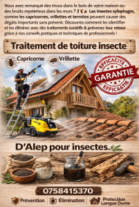 Photo de galerie - Dalep