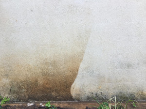 Photo de galerie - Passage d’un nettoyeur à haute pression sur un mur blanc abîmé 