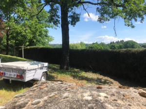 Photo de galerie - Entretien d'une haies ;-)