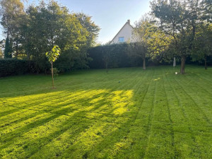 Photo de galerie - Tonte de pelouse 