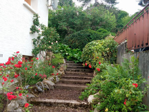 Photo de galerie - Jardinier et paysagiste 