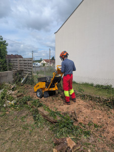 Photo de galerie - Paysagiste - Aménagement du jardin