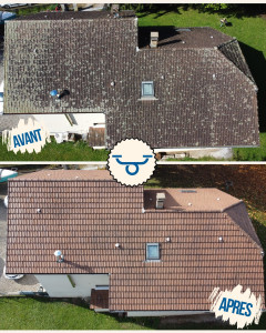 Photo de galerie - Nettoyage de toiture Vions, résultat après 5 mois