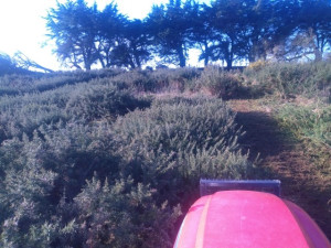 Photo de galerie - Broyage Terrain 