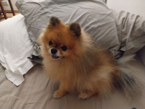 Photo de galerie - Harvey 