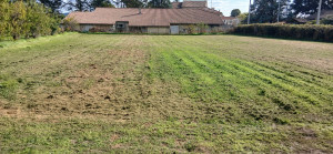 Photo de galerie - Tonte sans ramassage possible de ramassage 