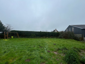 Photo de galerie - Rabattage d’une haie 