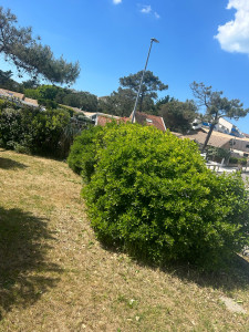 Photo de galerie - Jardinier