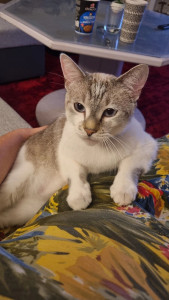 Photo de galerie - ?