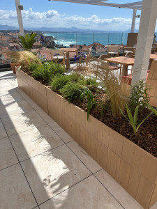 Photo de galerie - Jardinière / toit vegetalisé