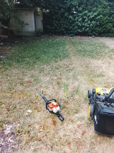Photo de galerie - Début du chantier.
client satisfait.