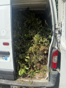 Photo de galerie - évacuation de déchet vert 20€ le m3 