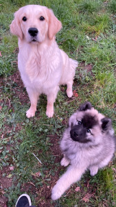 Photo de galerie - Rose x Uska