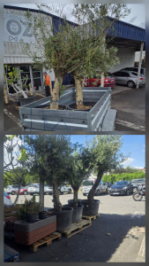 Photo de galerie - Livraison - Transport de colis