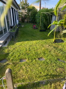 Photo de galerie - Service impeccable avec la tondeuse et la débroussailleuse pour les bordures 