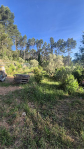 Photo de galerie - AVANT - débroussaillage d’un terrain particulier avec évacuation des déchets verts et assainissement du jardin 