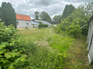 Photo de galerie - Tonte de pelouse - Débroussaillage