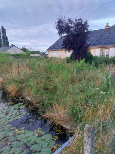 Photo de galerie - Avant intervention debroussaillage 