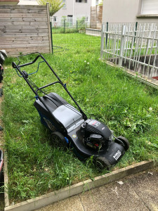 Photo de galerie - Tonte de pelouse - Débroussaillage