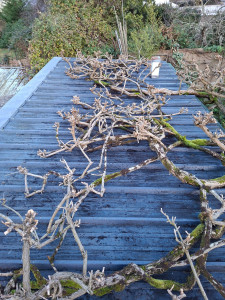 Photo de galerie - .