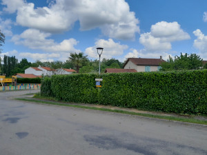 Photo de galerie - Taille de haie