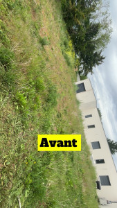 Photo de galerie - Avant le débroussaillage