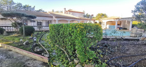 Photo de galerie - Taille de haies et d'arbustes