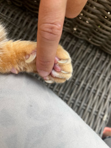 Photo de galerie - J’apporte ma présence 