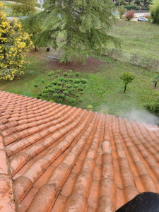 Photo de galerie - Nettoyage de toiture 