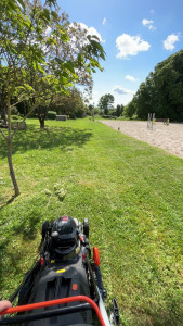 Photo de galerie - Tonte de pelouse - Débroussaillage