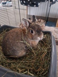 Photo de galerie - Bobine 8ans que je garde régulièrement ?