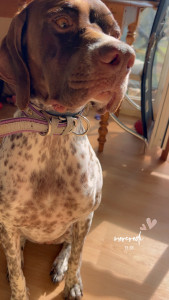 Photo de galerie - Bora