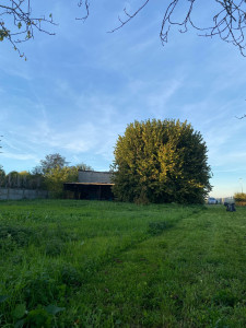 Photo de galerie - Tonte de pelouse 