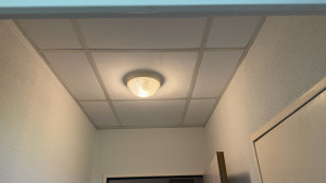 Photo de galerie - Remplacement des dalles de plafond + remise en peinture des murs 
