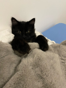 Photo de galerie - .