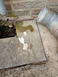 Photo de galerie - Plomberie - Installation sanitaire