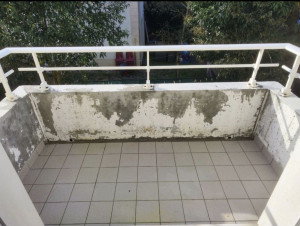 Photo de galerie - Plâtrerie - Murs - Plafonds